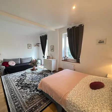La Cigale Et La Fourmi Savoisienne - Aix-les-Bains